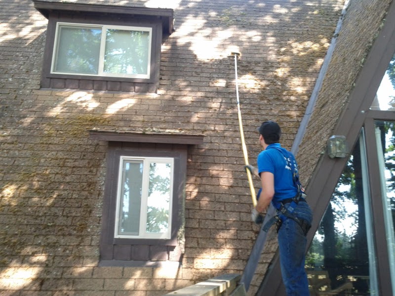 Referred Roof Cleaning & Exteriors photo 4