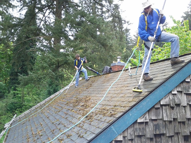 Referred Roof Cleaning & Exteriors photo 1