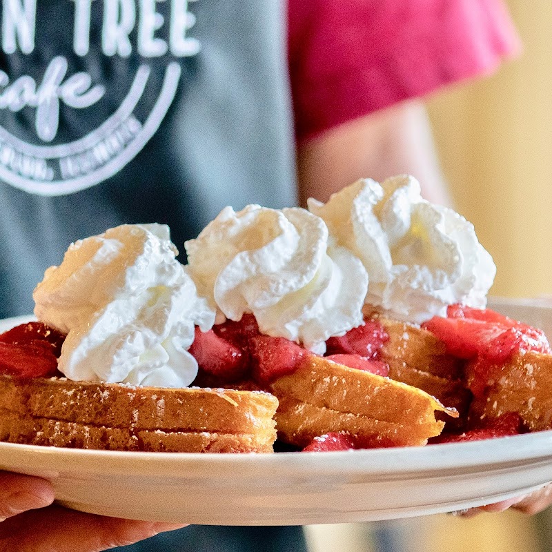 The Coffee Girl photo 2