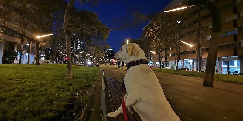 Clínica veterinària Carles III