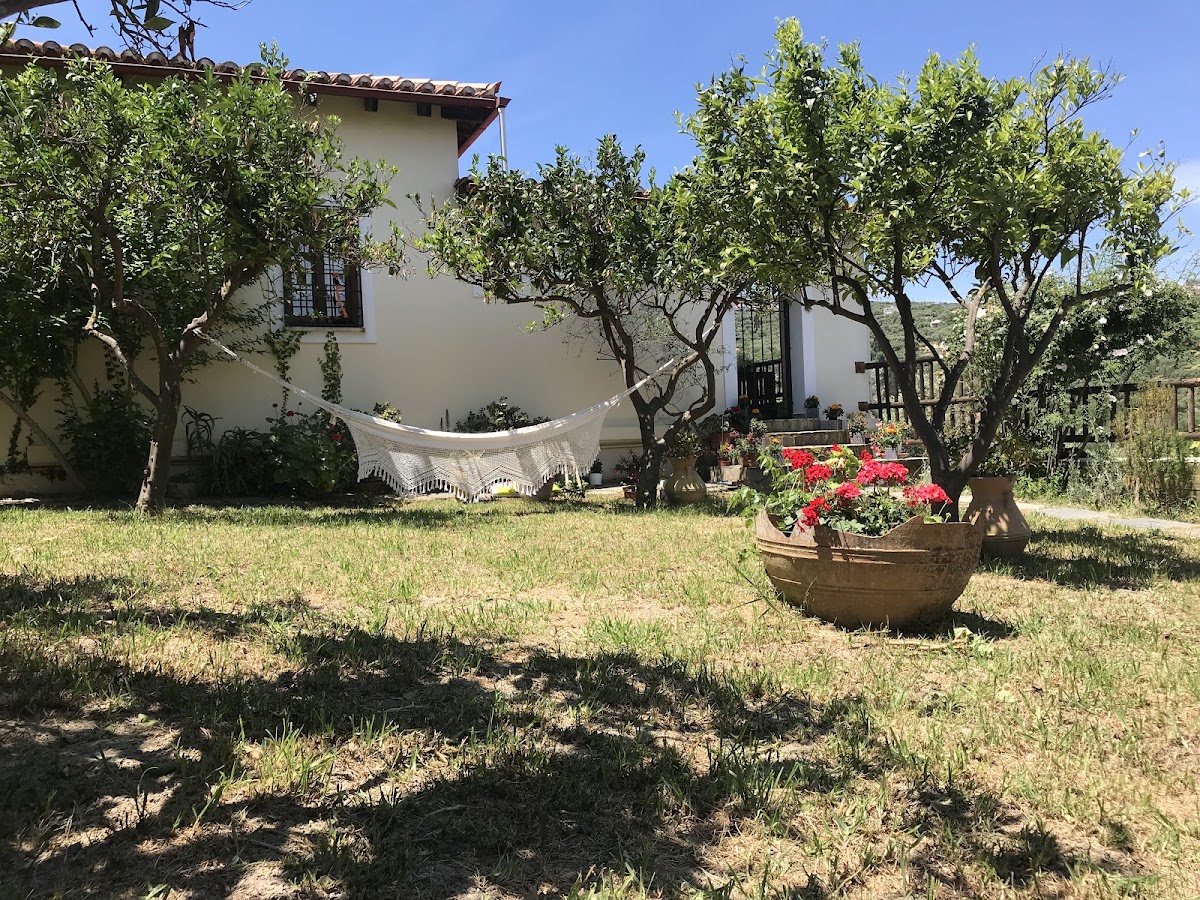 VILLA SHAKTI - Yoga Art Nature Retreat — 4