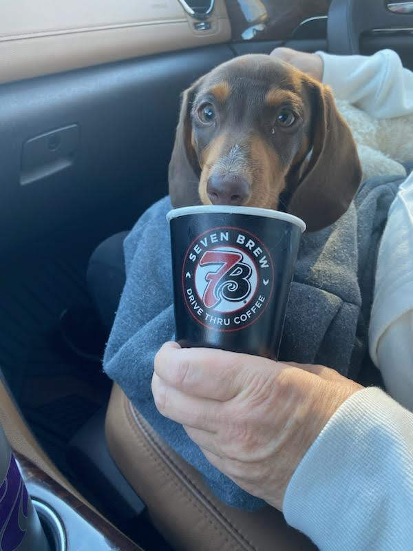 7 Brew Coffee photo 4