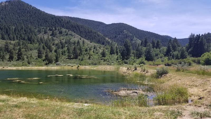 The High Lonesome Ranch - Photo 6