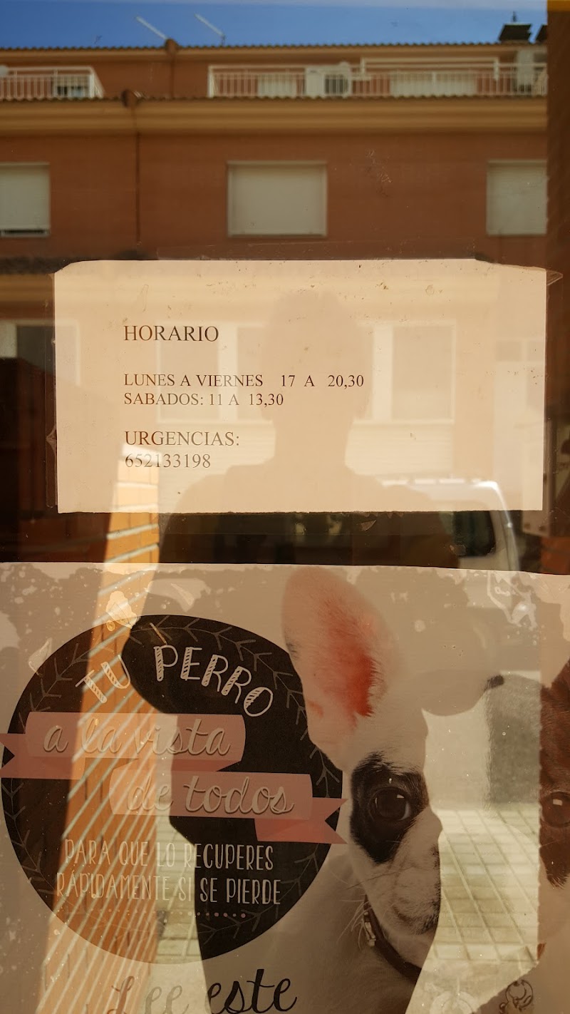 Centro Veterinario D.D.D.