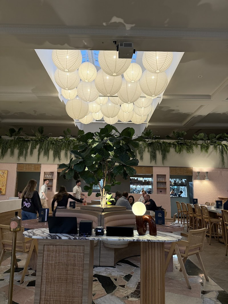 Light Years - Newcastle photo 6