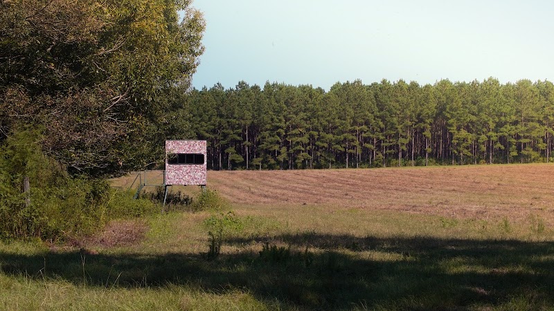 Hays Creek Outfitters - Photo 3