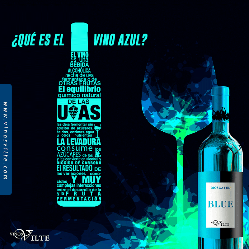 Vinos Vilte