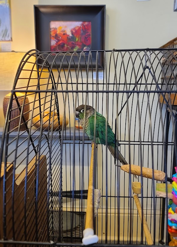 Photo by Mary Dannemiller