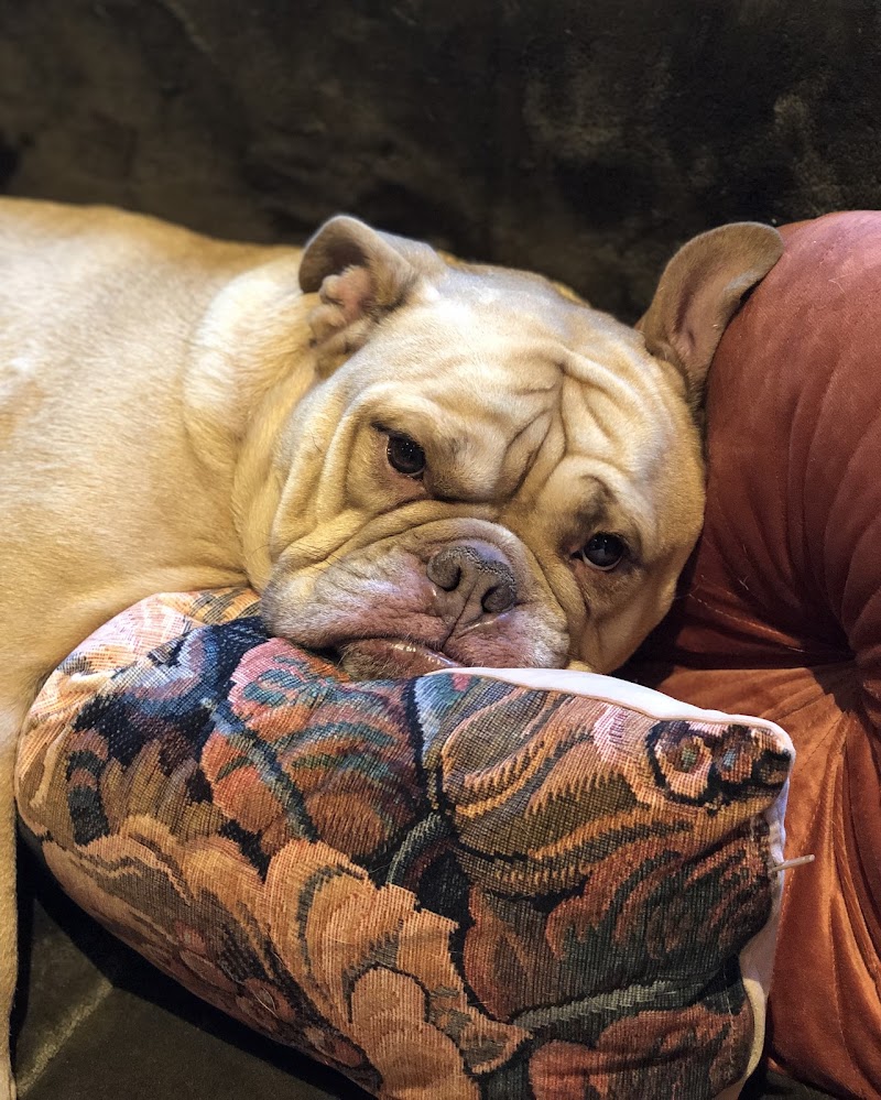 Desperado Tattoo tattoo werk 5