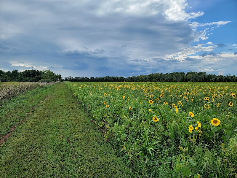 Dead End Pheasant Farm - Photo 3