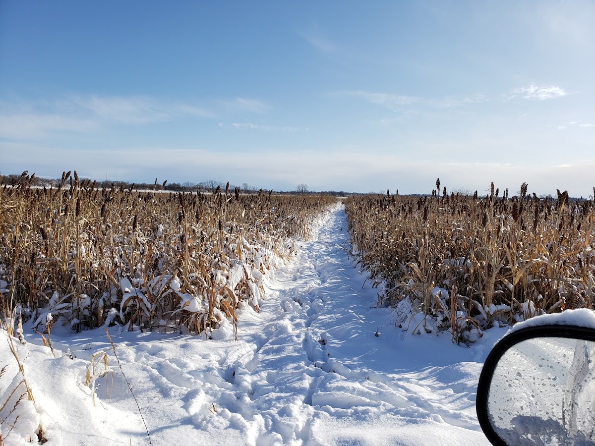 Dead End Pheasant Farm
