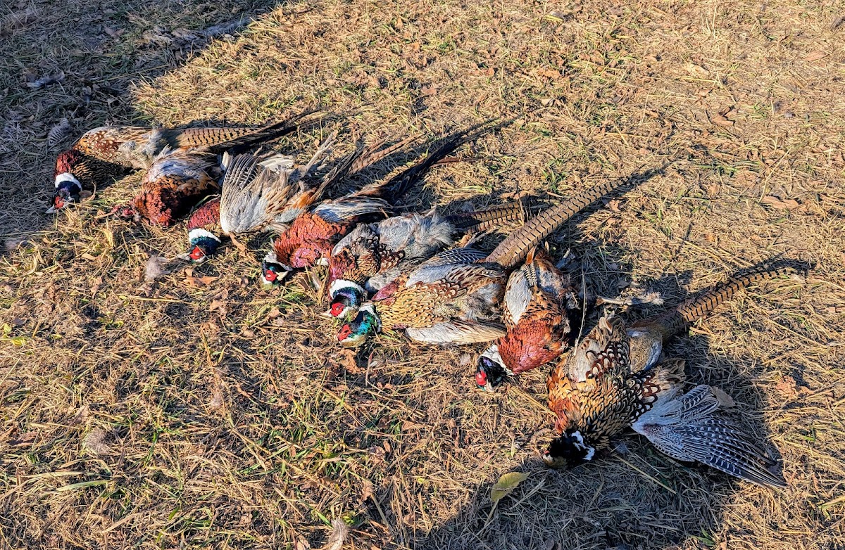 Viking Valley Hunt Club