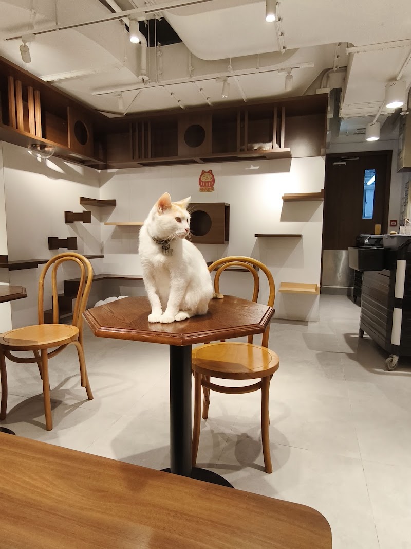 URBAN CAFE（旺角兆萬）