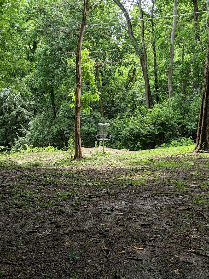 Harmon Park Disc Golf Course photo 2