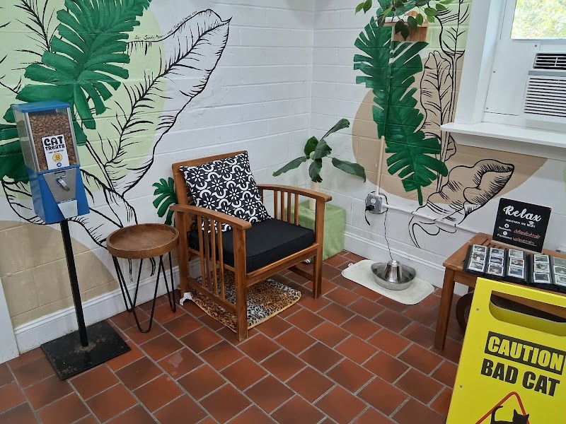 DeLand Cat Cafe