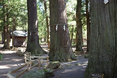 Kawaguchi Asama Shrine - 5