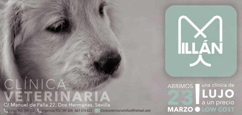 CLÍNICA VETERINARIA MILLÁN