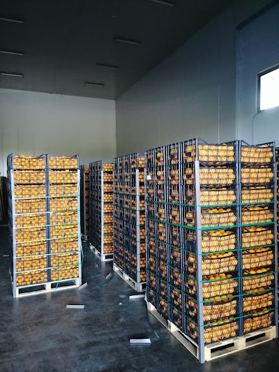 GULDA Soğuk Hava Deposu Mersin/ GULDA Cold Storage Mersin - Nakliyat