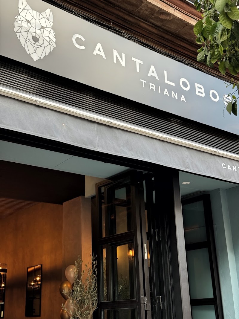 Singular de Cantalobos