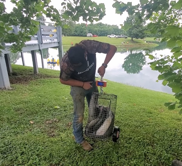 Photo by Whipple Road Lake