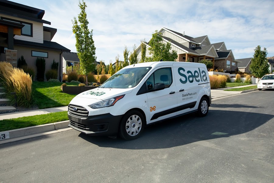 Saela Pest Control