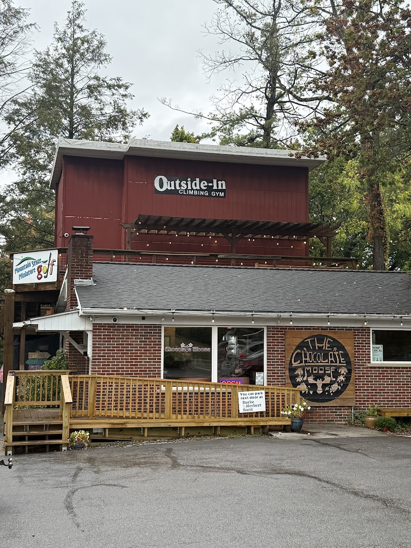 Chocolate Moose Coffees photo 1