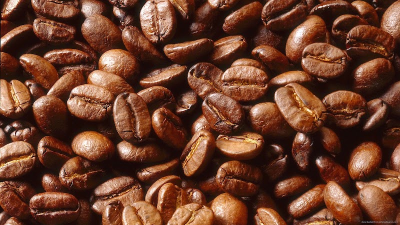 Chocolate Moose Coffees photo 2