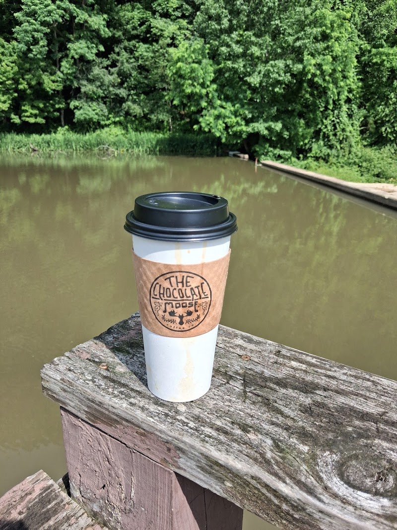 Chocolate Moose Coffees photo 4