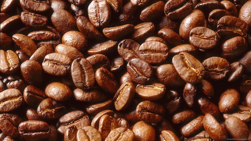 Chocolate Moose Coffees photo 2