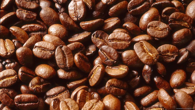Chocolate Moose Coffees photo 3