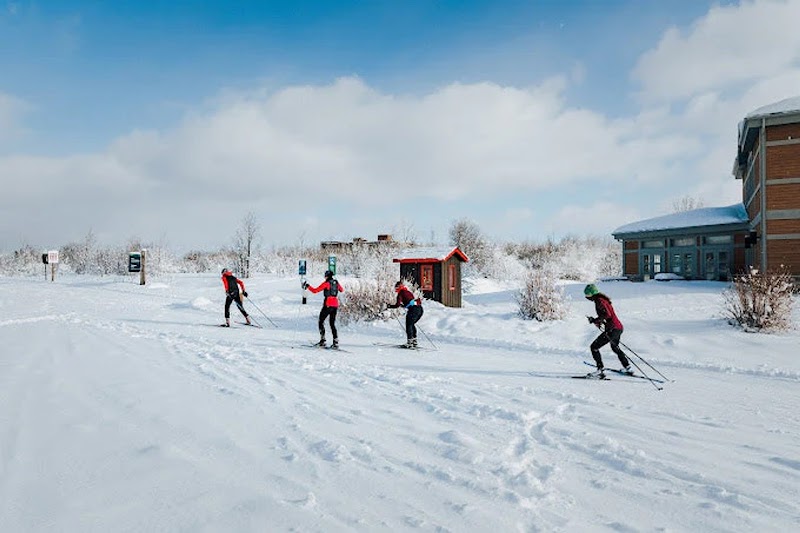 Relais Plein Air du parc de la Gatineau photo 3