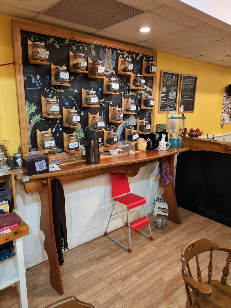 Alley Cat Cafe photo 4