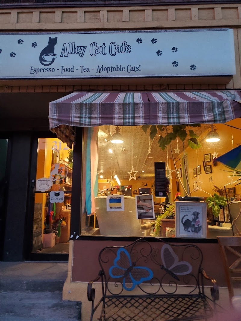 Alley Cat Cafe photo 1