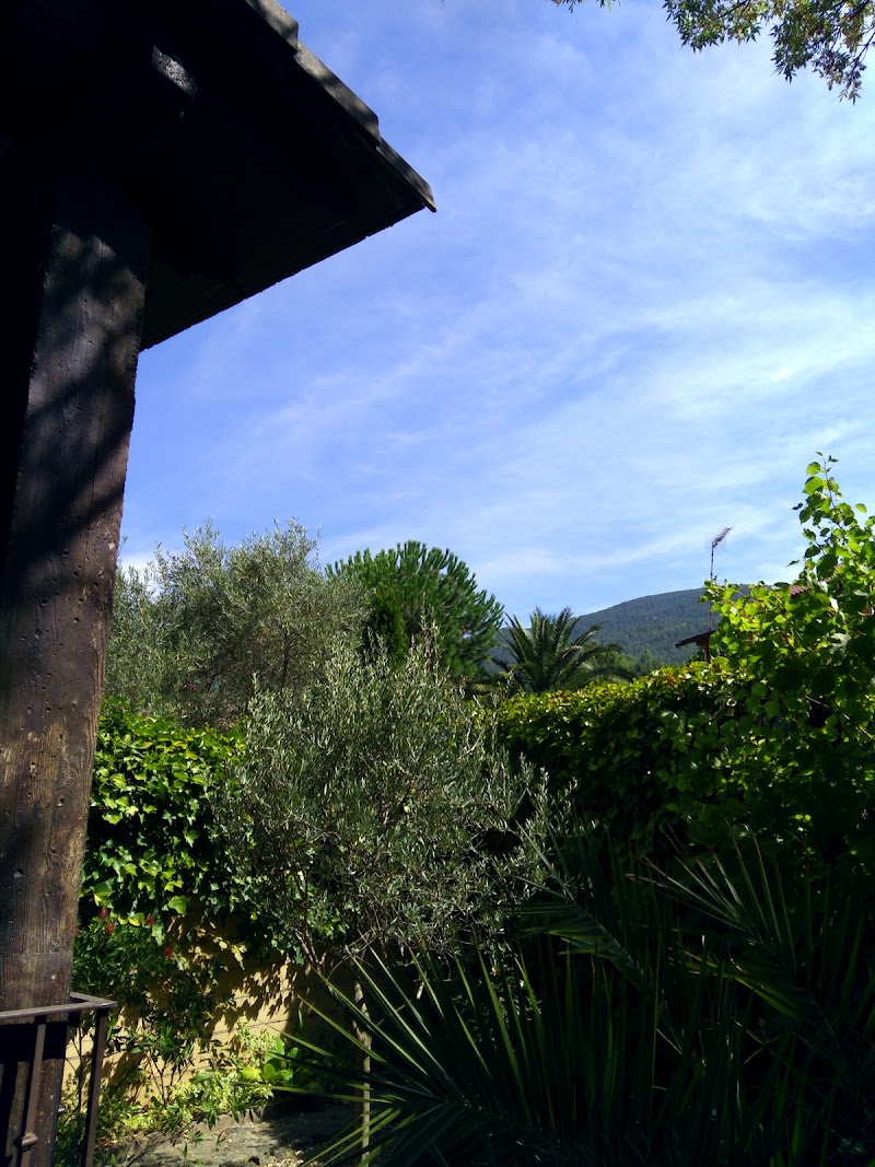 Clínica Veterinaria La Adrada