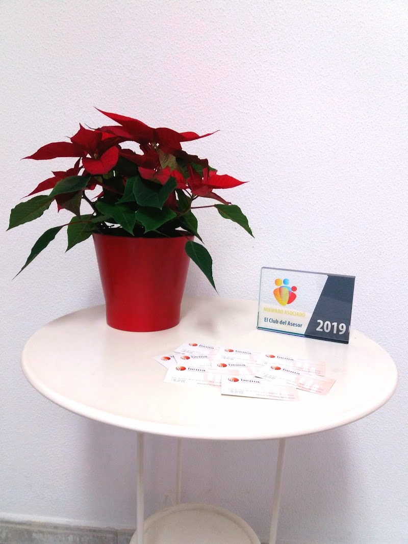 Belén Pernas Hermida photo 1