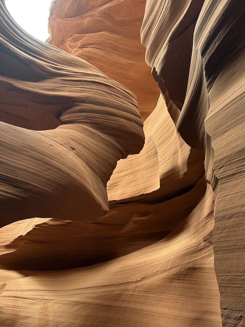 Lower Sandstone cafe photo 3