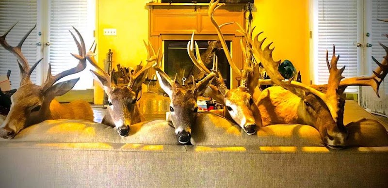 Triple B Lodge - Photo 3
