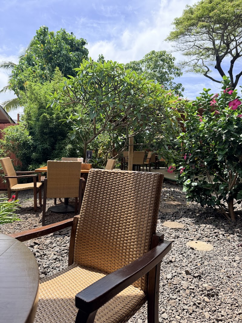 Island Fresh Café photo 2