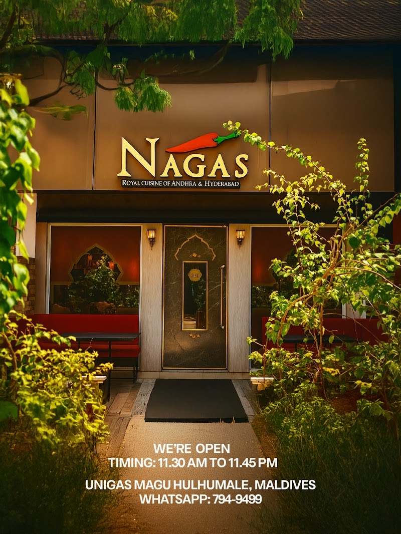 Naga's Indian Restaurant photo 1