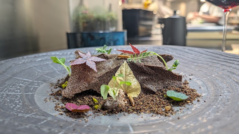 The Fat Duck photo 5