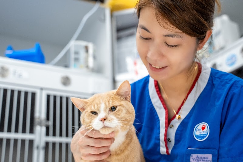 Pets Central Tseung Kwan O Animal Hospital 