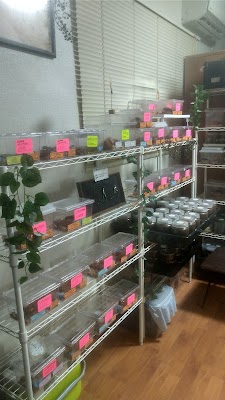 10’s INSECT LABORATORY
