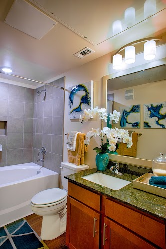 Discovery Village Alliance Town Center