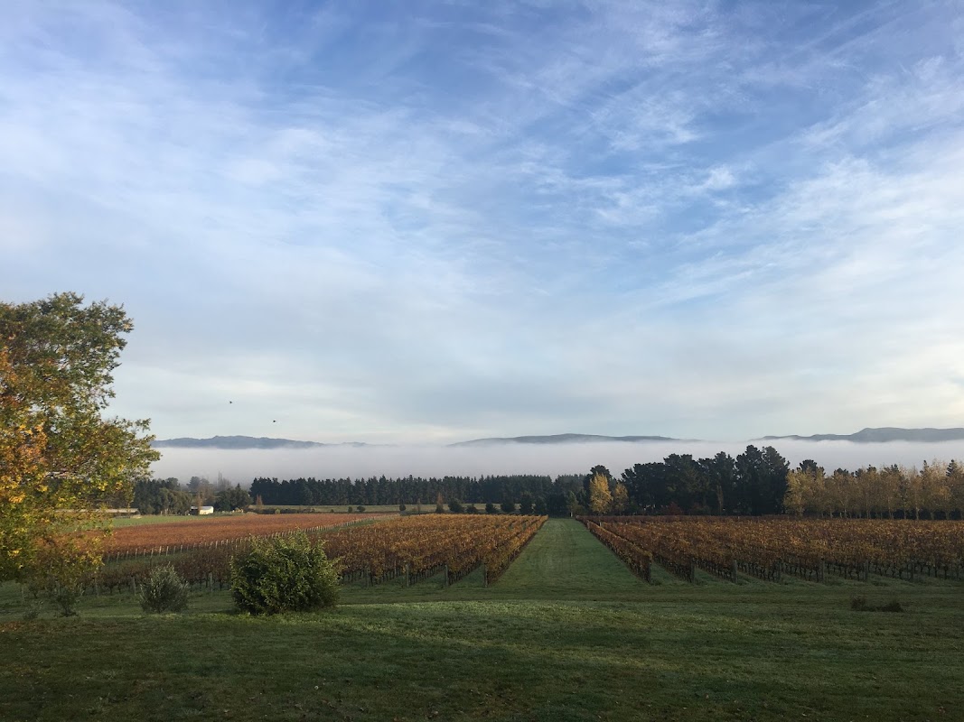 Mountford Estate Vineyard