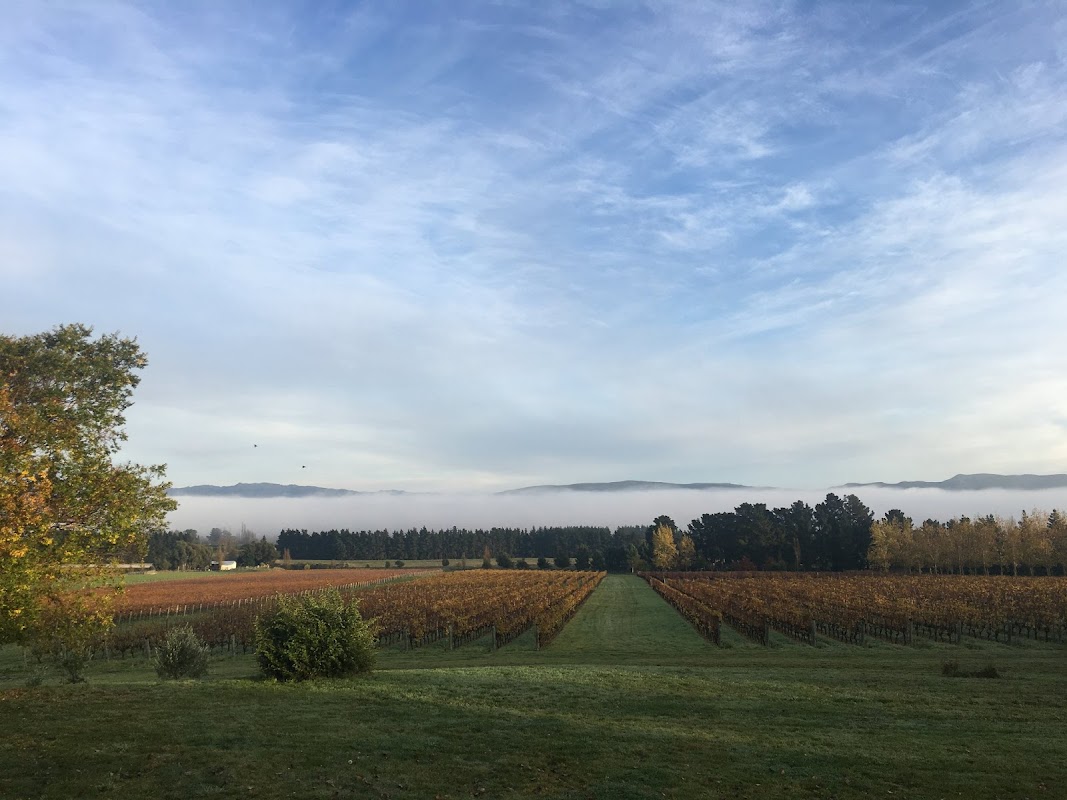 Mountford Estate Vineyard
