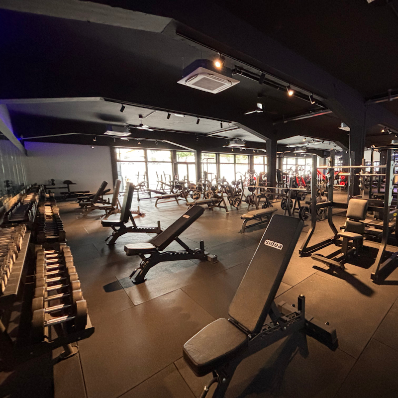 iGym Rimini