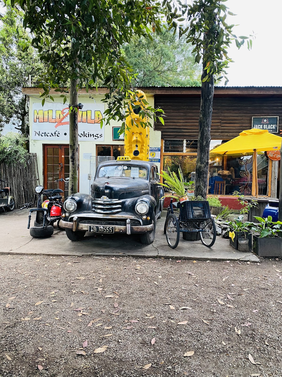 Cafe Bacchus — photo 3