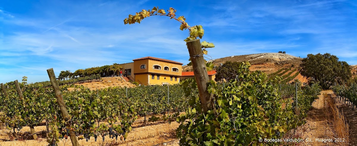 Bodegas Valdubón - Ribera del Duero