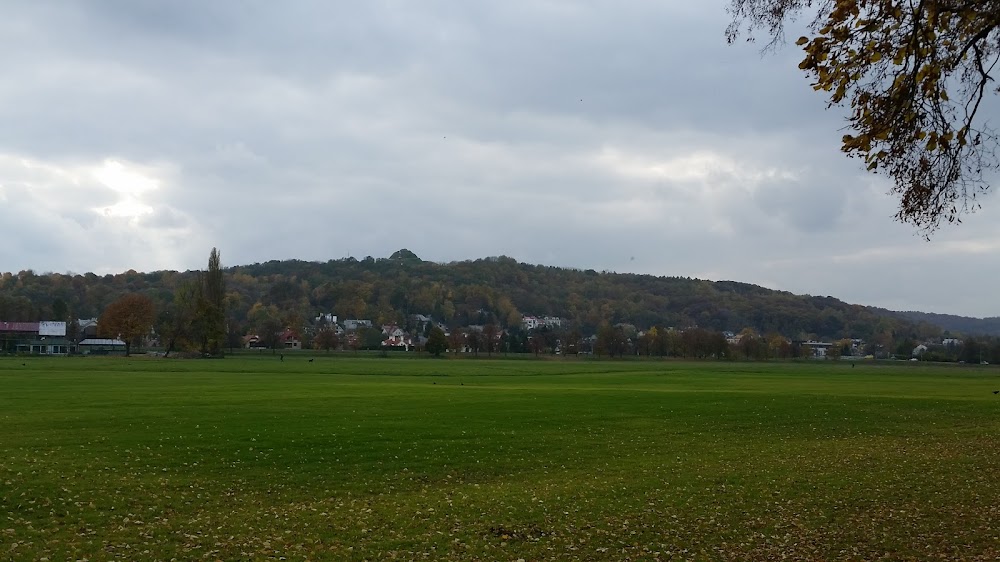 Błonia w Krakowie fotoğraf 1