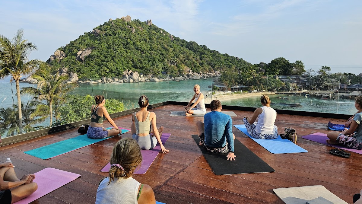 Yoga Hub Club